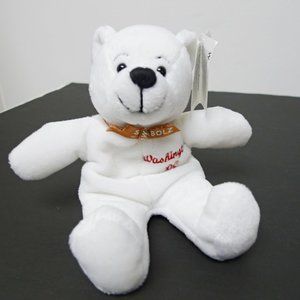 VTG 2000 The Nation's Capital State Pride bear